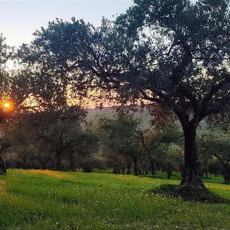 Country house Bordea Grande